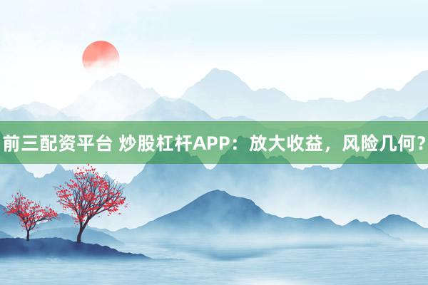 前三配资平台 炒股杠杆APP：放大收益，风险几何？
