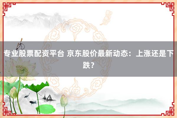 专业股票配资平台 京东股价最新动态：上涨还是下跌？