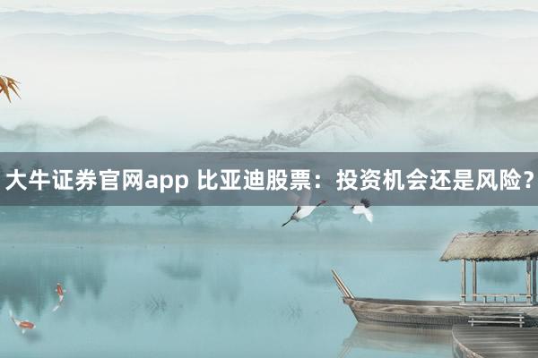 大牛证券官网app 比亚迪股票：投资机会还是风险？