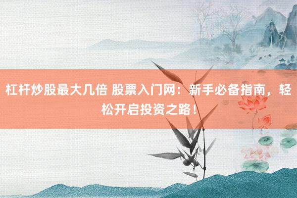 杠杆炒股最大几倍 股票入门网：新手必备指南，轻松开启投资之路！