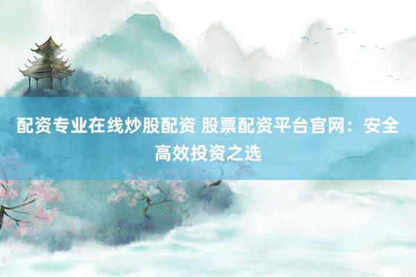 配资专业在线炒股配资 股票配资平台官网：安全高效投资之选