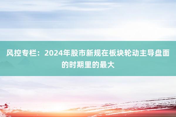 风控专栏：2024年股市新规在板块轮动主导盘面的时期里的最大