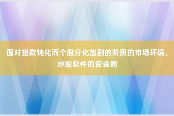 面对指数钝化而个股分化加剧的阶段的市场环境，炒股软件的资金周